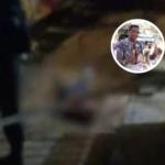 Foto Internet